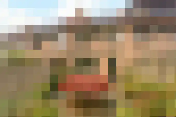 Jachthoeve 20 Houten thumbnail 9