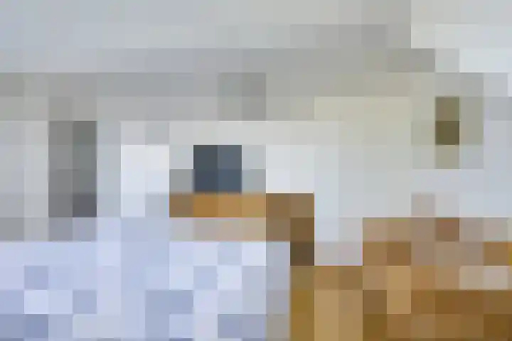 Jachthoeve 47 Houten thumbnail 31