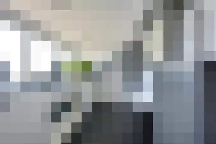 Jachthoeve 47 Houten thumbnail 36
