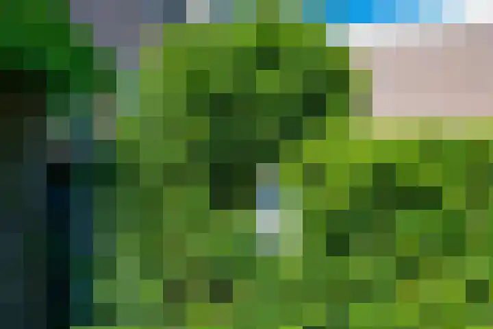 Jachthoeve 47 Houten thumbnail 43