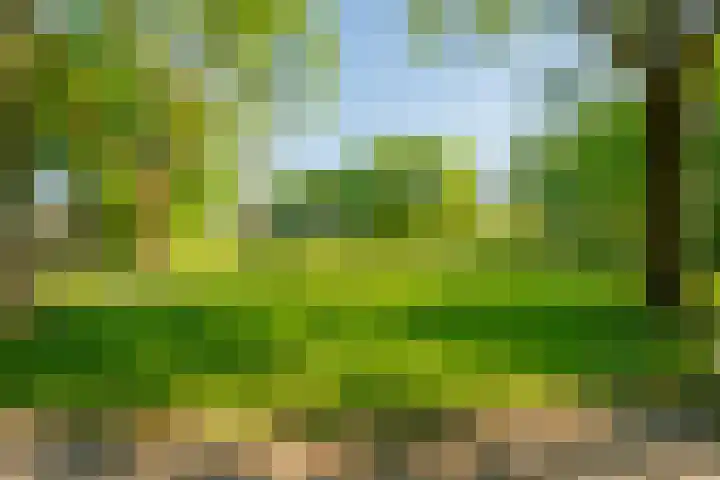 Jachthoeve 47 Houten thumbnail 45