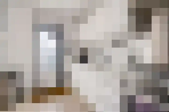 Jachthoeve 52 Houten thumbnail 14