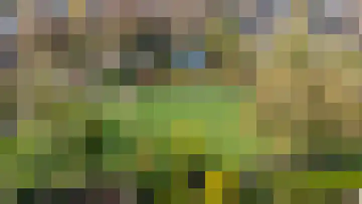 Jachthoeve 52 Houten thumbnail 42