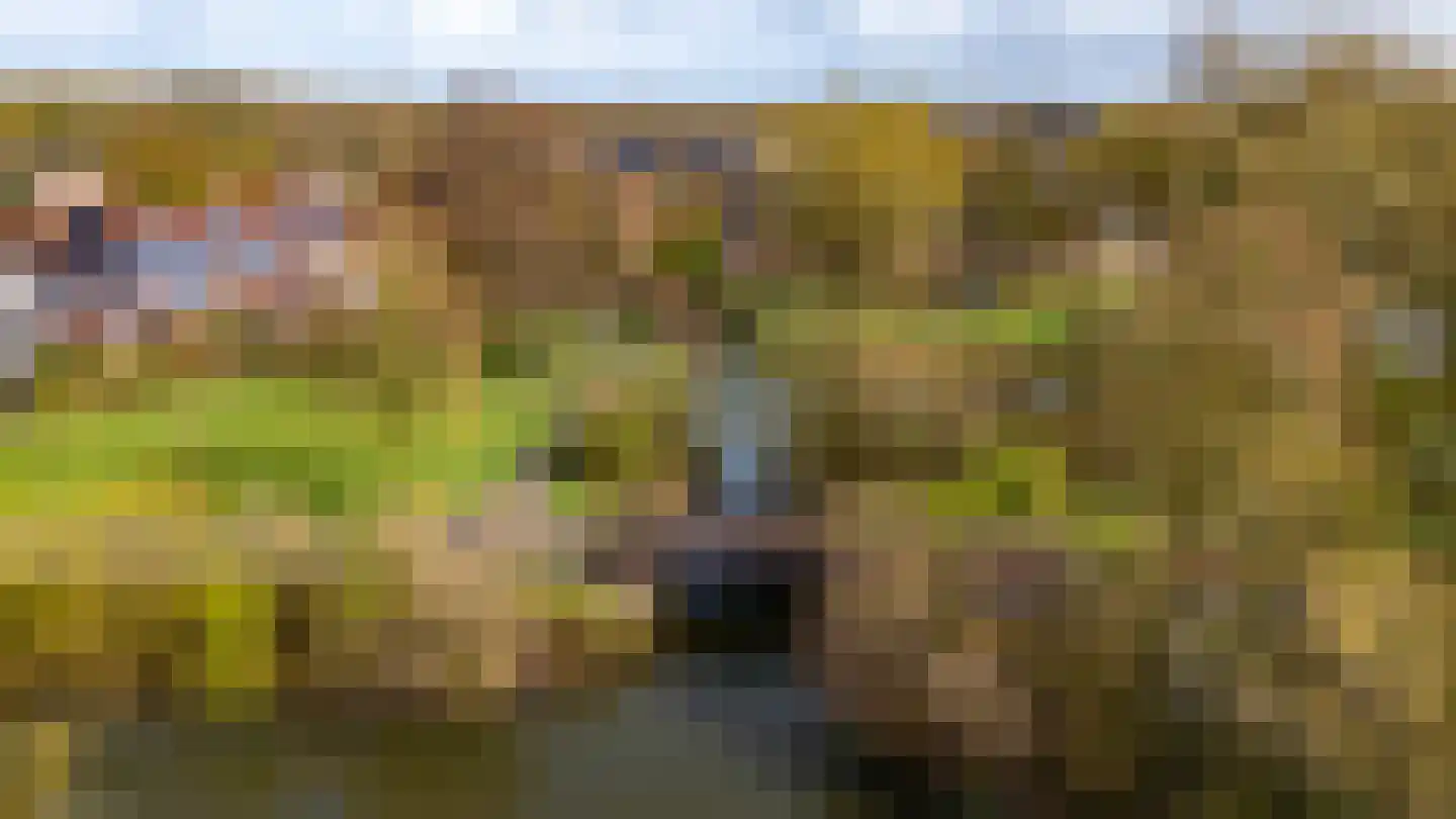Jachthoeve 52 Houten thumbnail 46