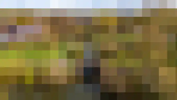 Jachthoeve 52 Houten thumbnail 46