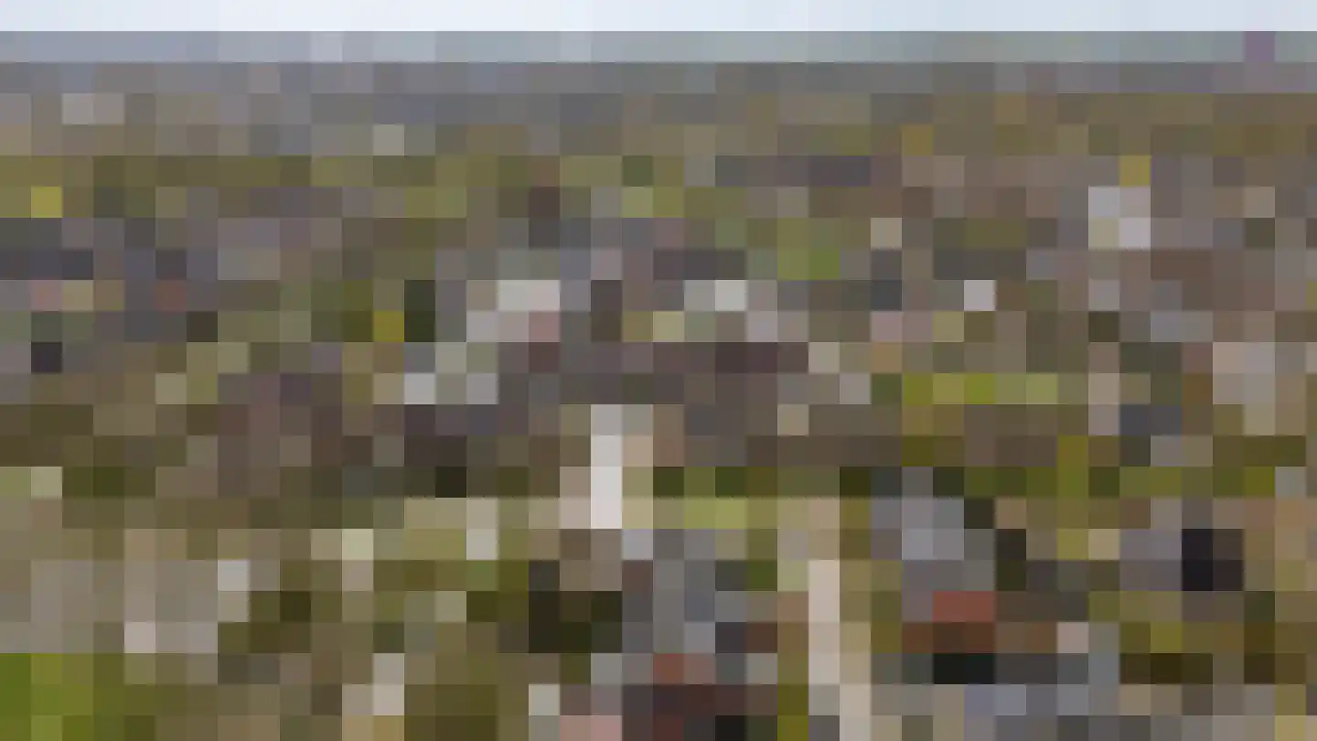 Jachthoeve 52 Houten thumbnail 47