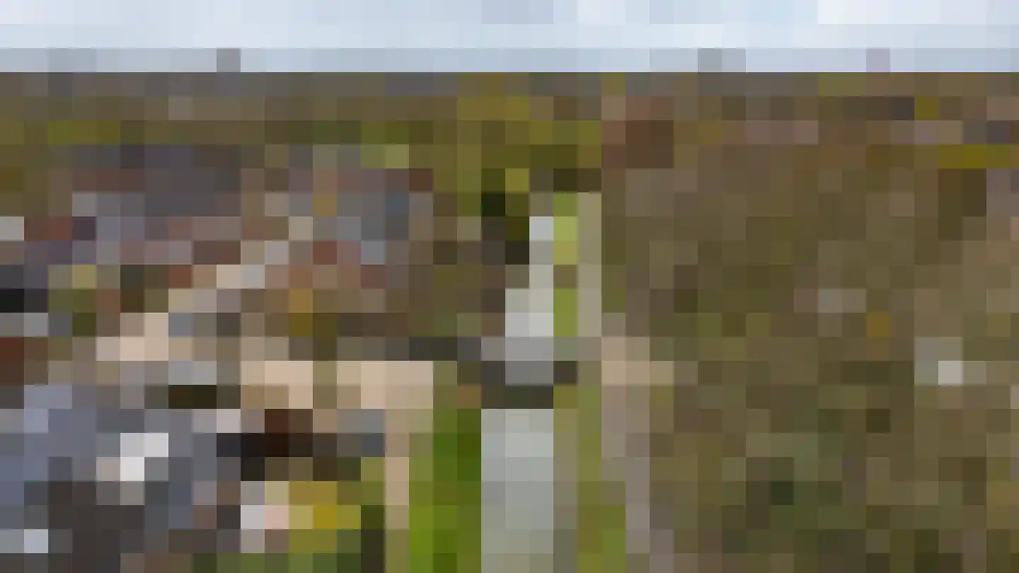 Jachthoeve 52 Houten thumbnail 48
