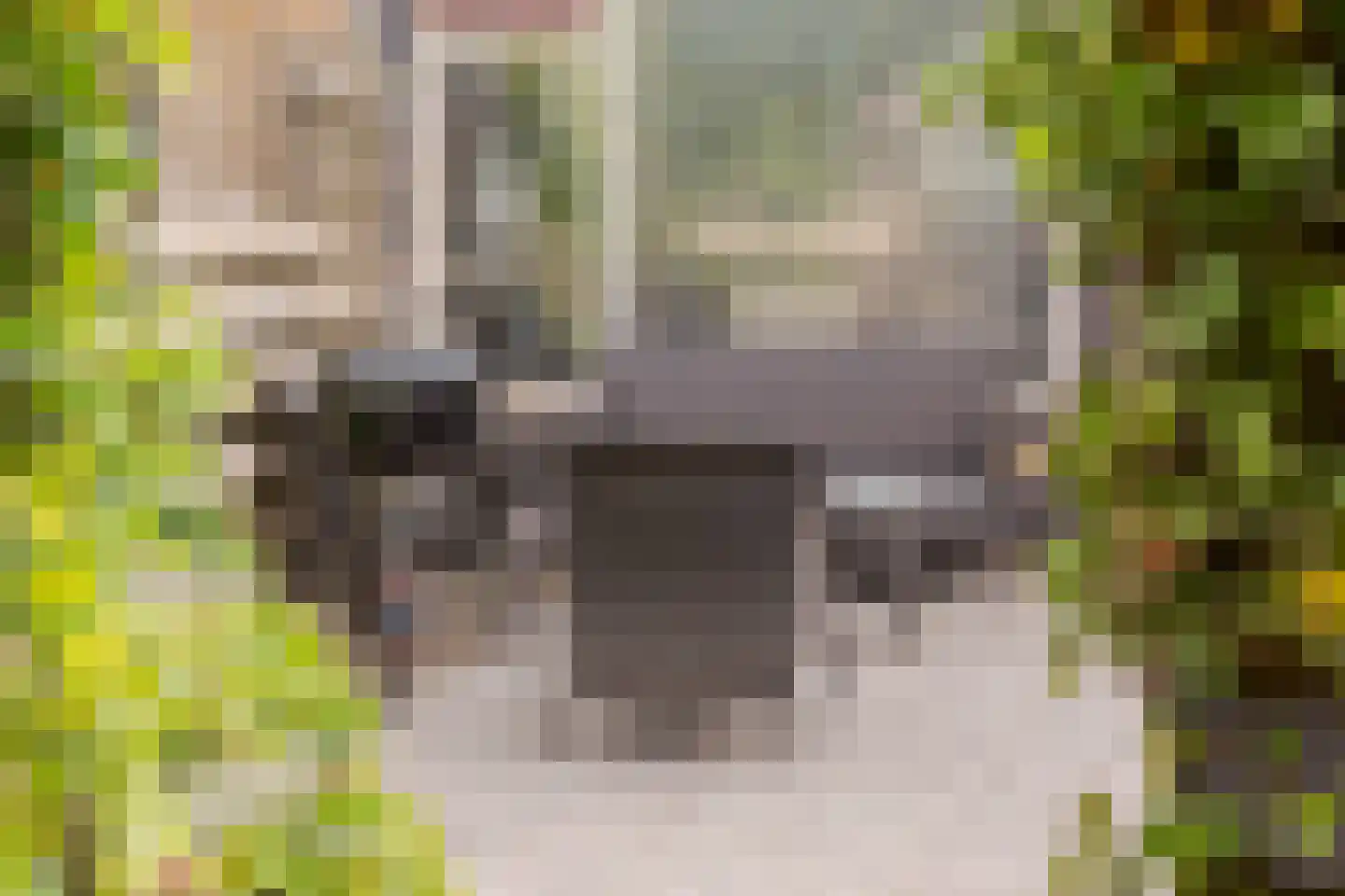 Jachthondenstraat 27 Creil thumbnail 30