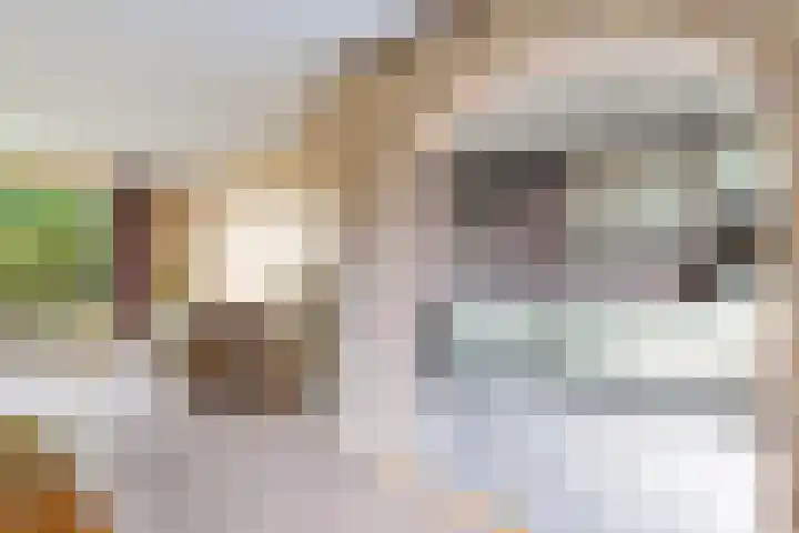 Jachthondenstraat 61 Creil thumbnail 12