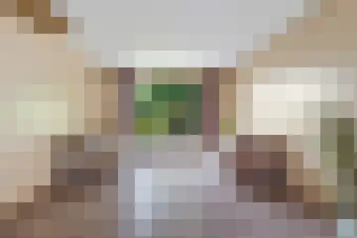 Jachthondenstraat 61 Creil thumbnail 15
