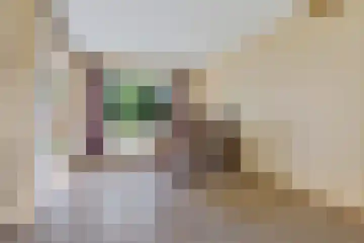 Jachthondenstraat 61 Creil thumbnail 16