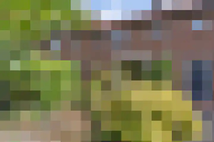 Jachthondenstraat 61 Creil thumbnail 5