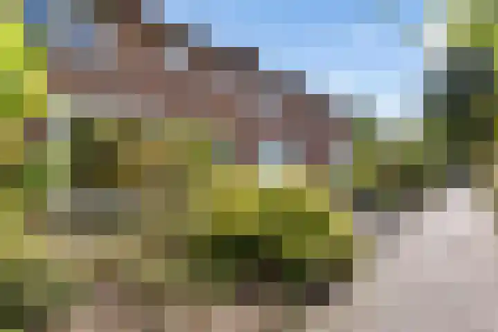 Jachthondenstraat 61 Creil thumbnail 6