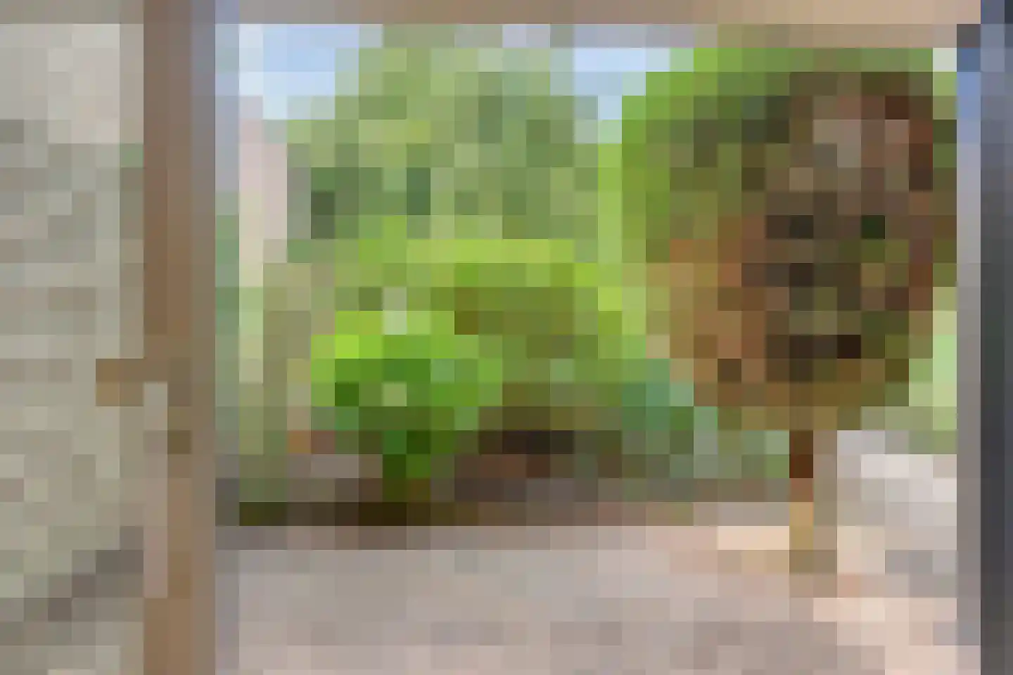 Jachthoorn 10 Malden thumbnail 17
