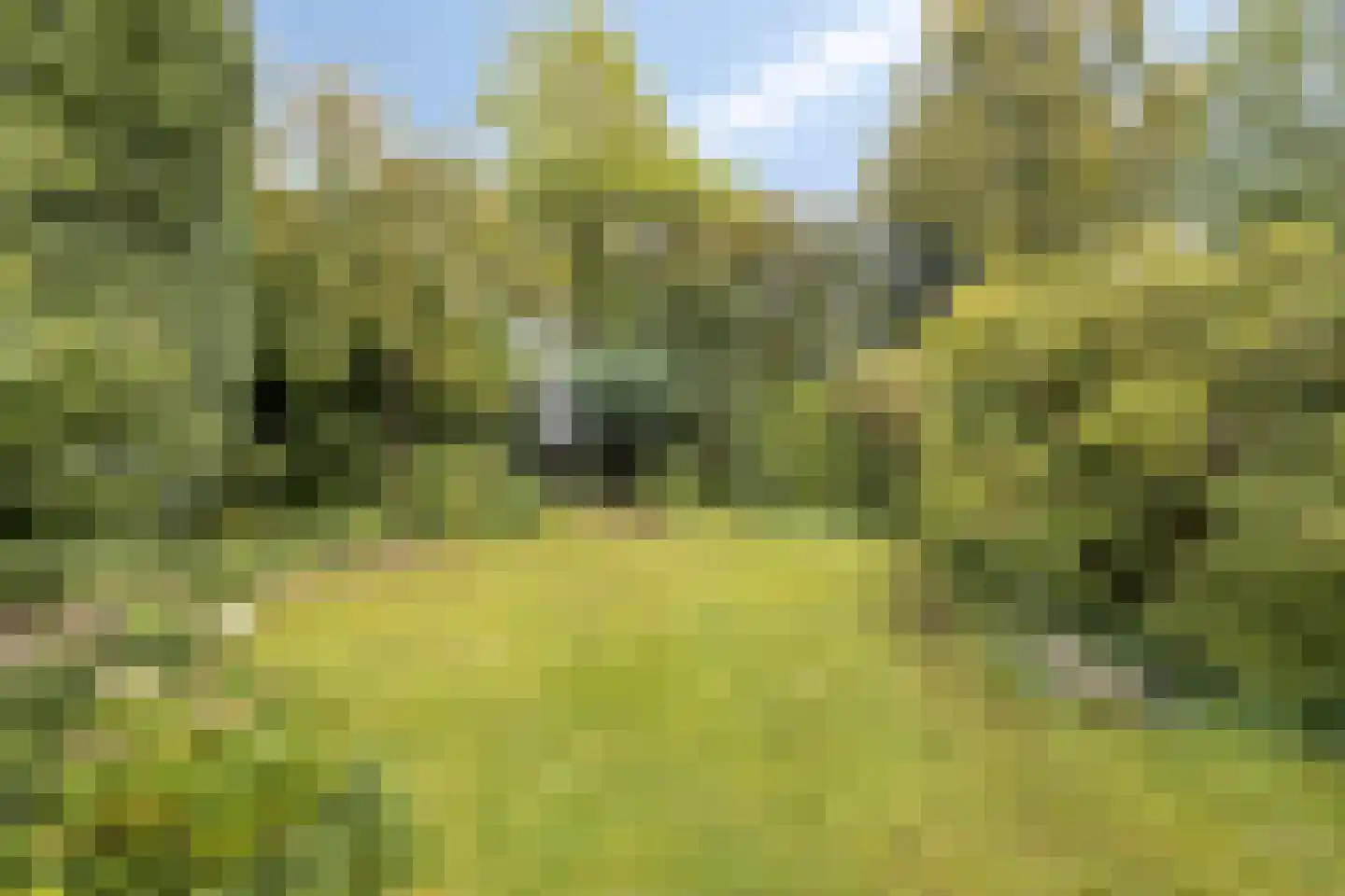 Jachthoorn 10 Malden thumbnail 31