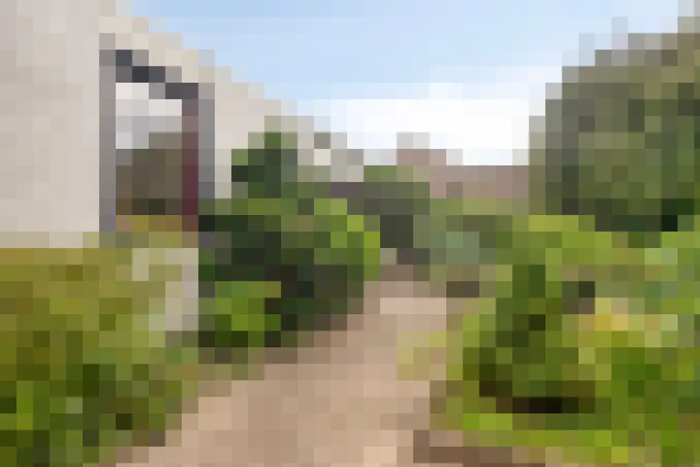 Jachthoorn 10 Malden thumbnail 33
