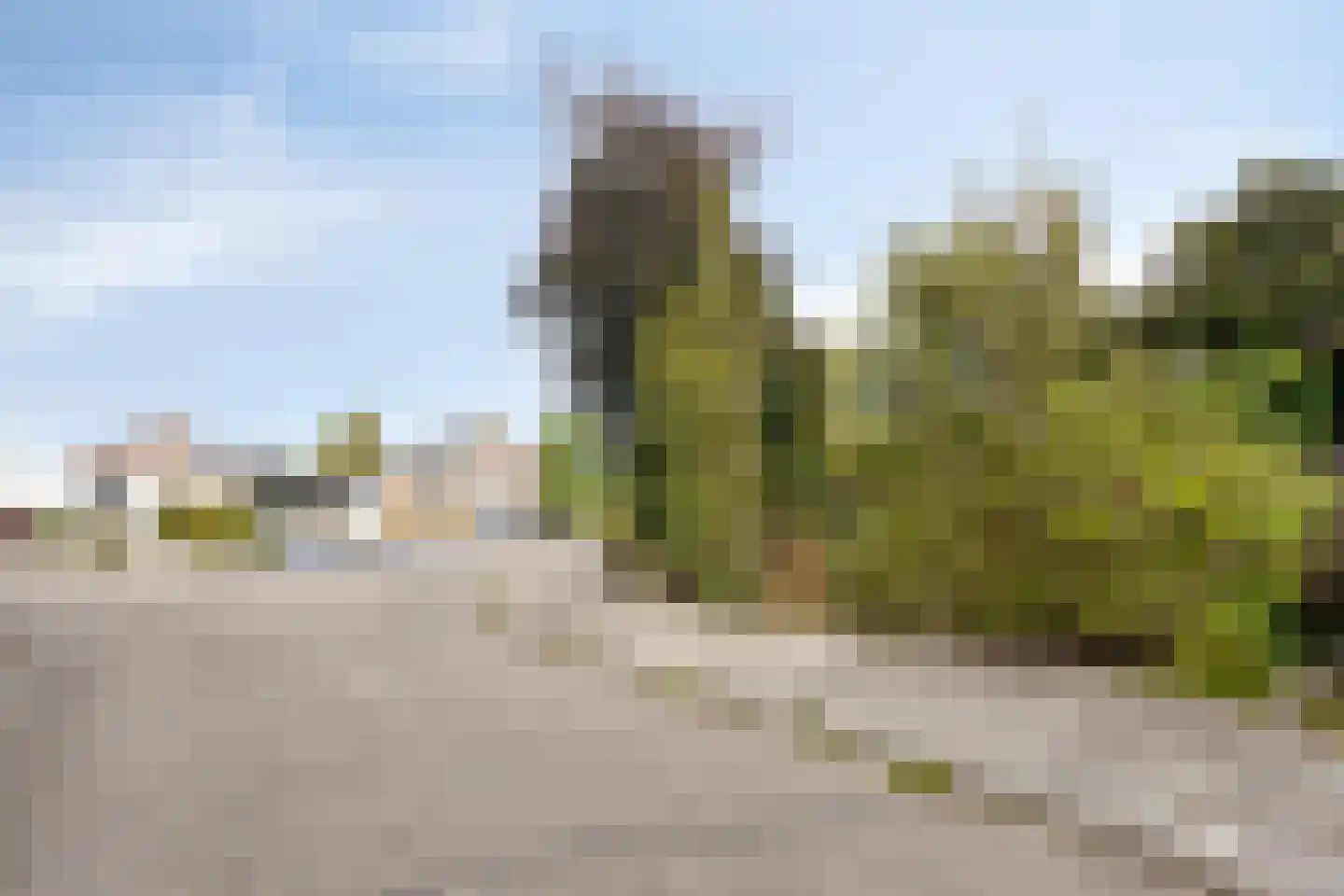 Jachthoorn 10 Malden thumbnail 37