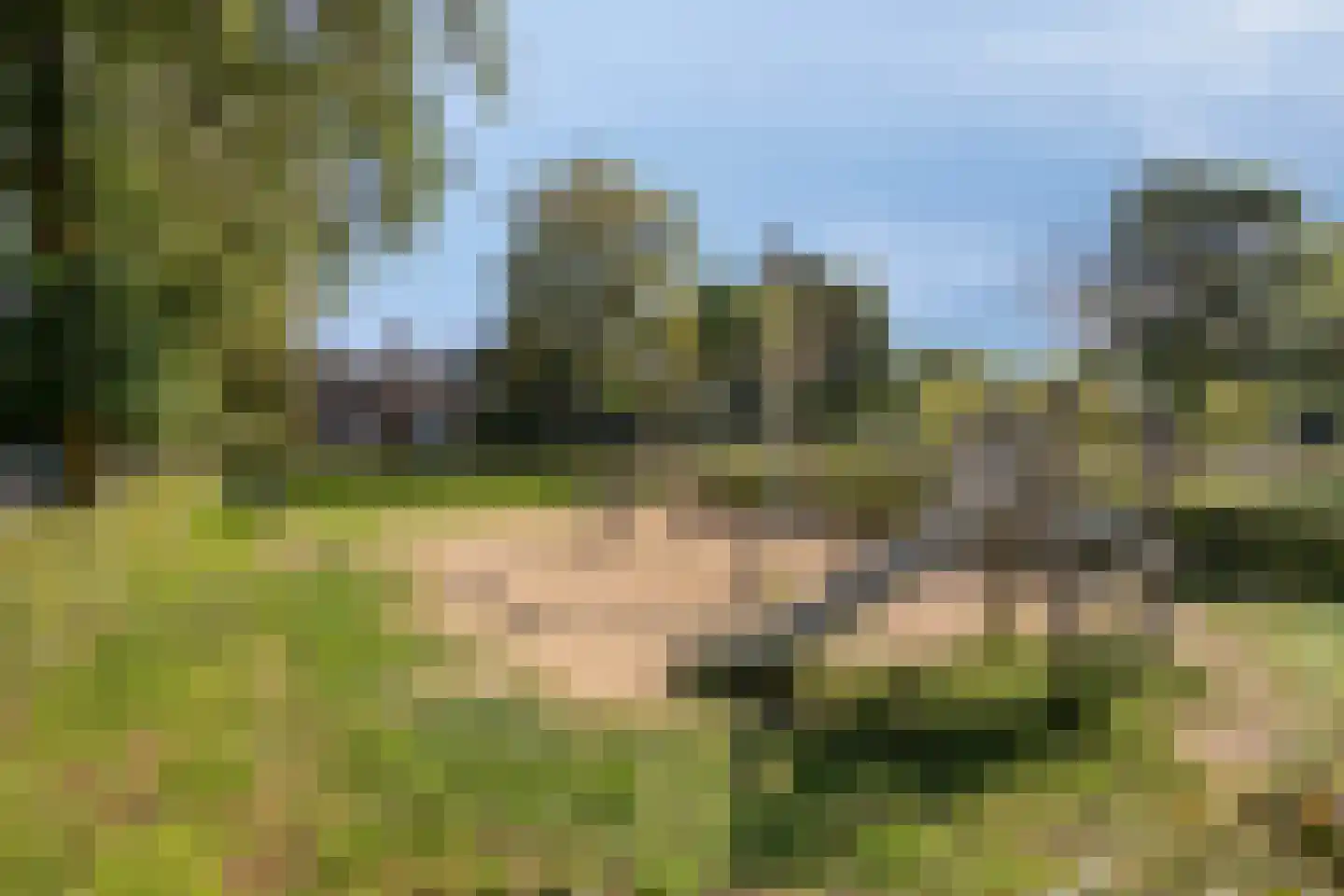 Jachthoorn 10 Malden thumbnail 38