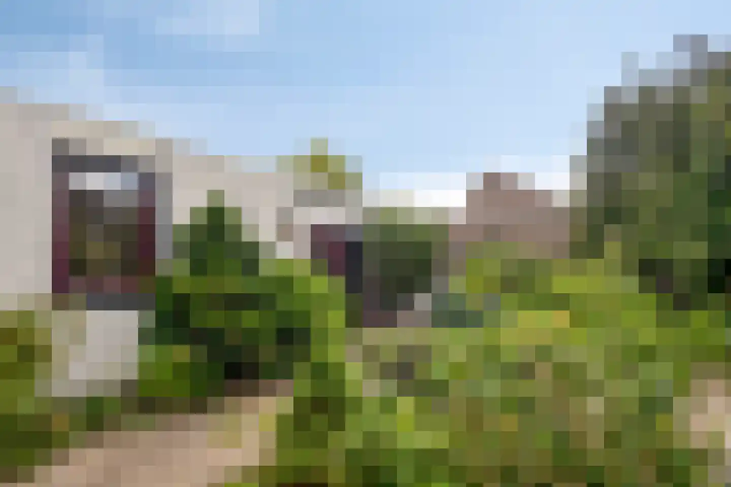 Jachthoorn 10 Malden thumbnail 6
