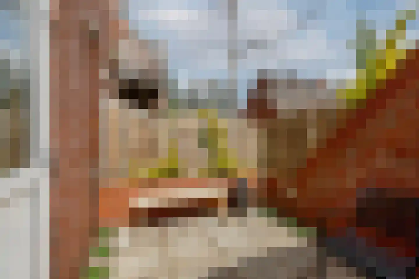 Jachthoorn 45 Capelle aan den IJssel thumbnail 17