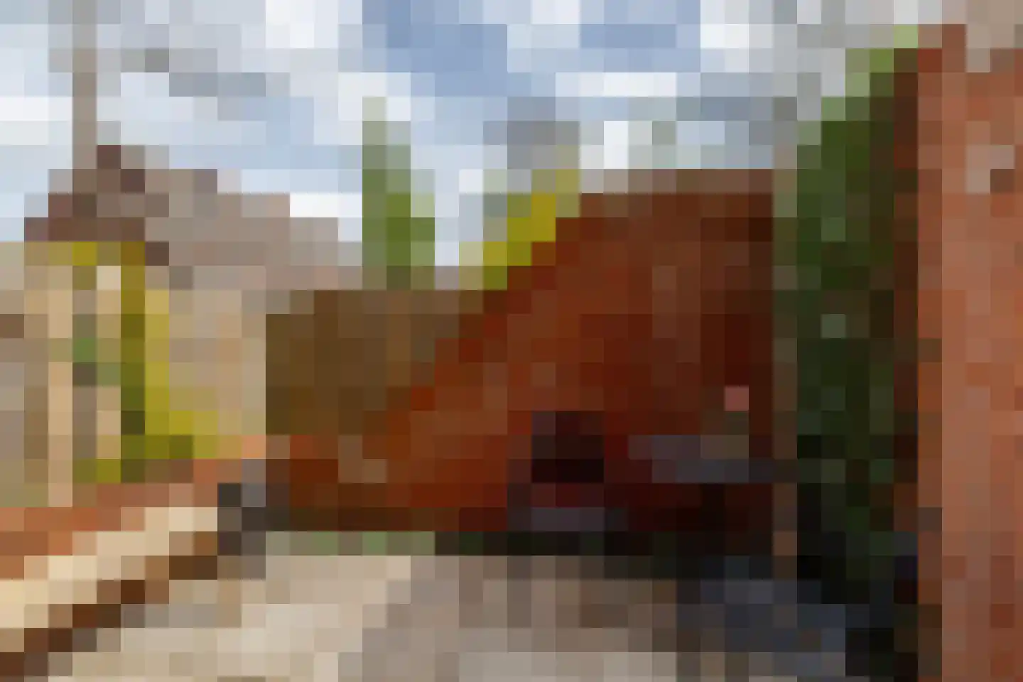 Jachthoorn 45 Capelle aan den IJssel thumbnail 4