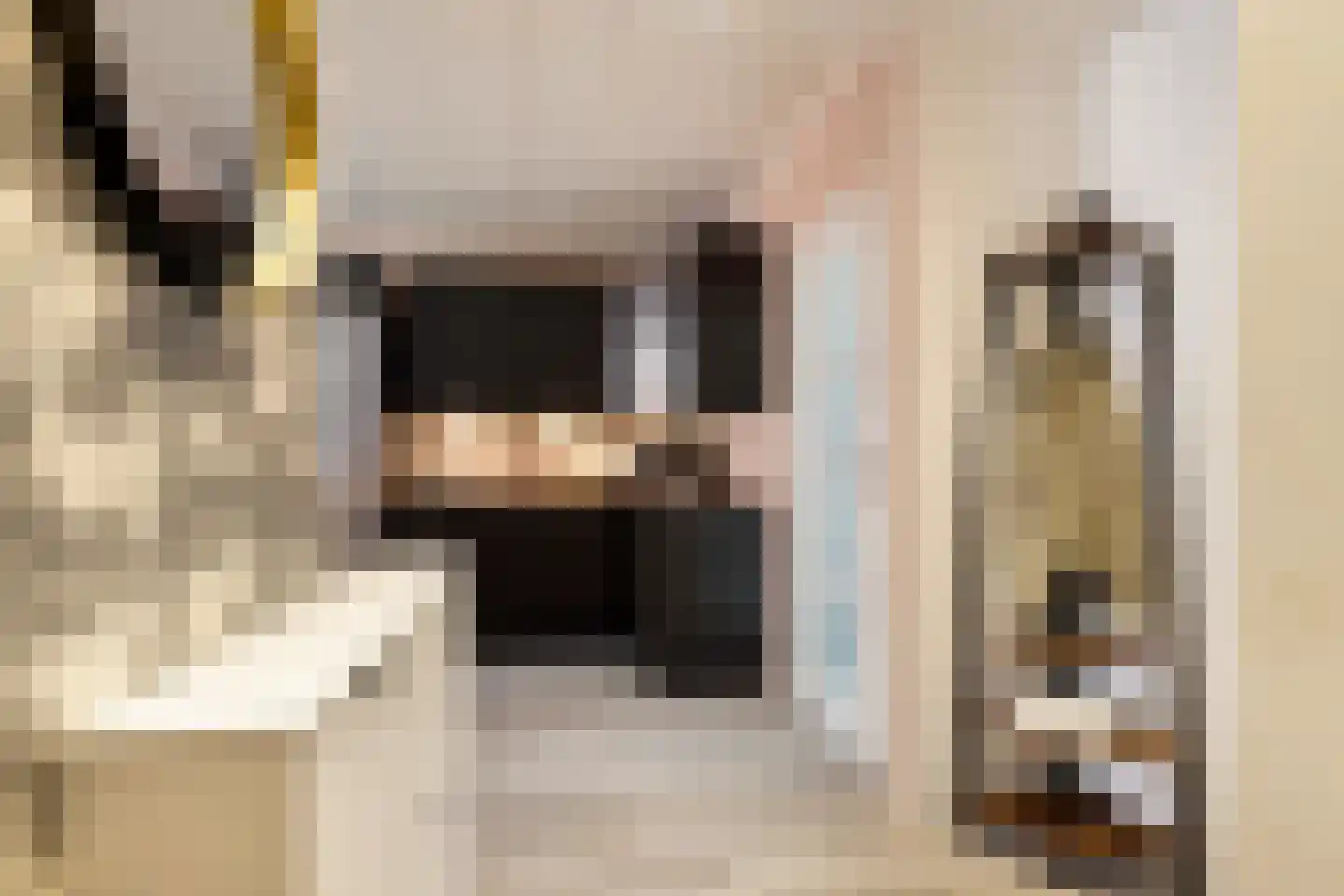 Jachthoorn 45 Capelle aan den IJssel thumbnail 7