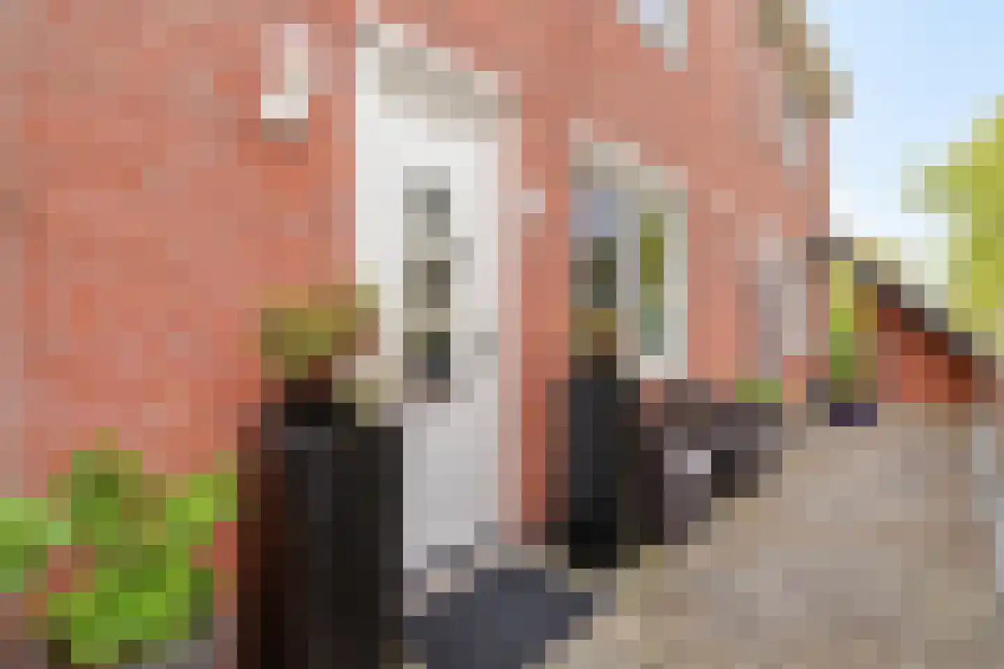 Jachthoorn 61 Capelle aan den IJssel thumbnail 23