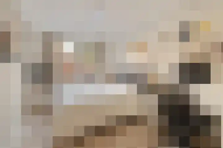Jachthoorn 81 Capelle aan den IJssel thumbnail 13