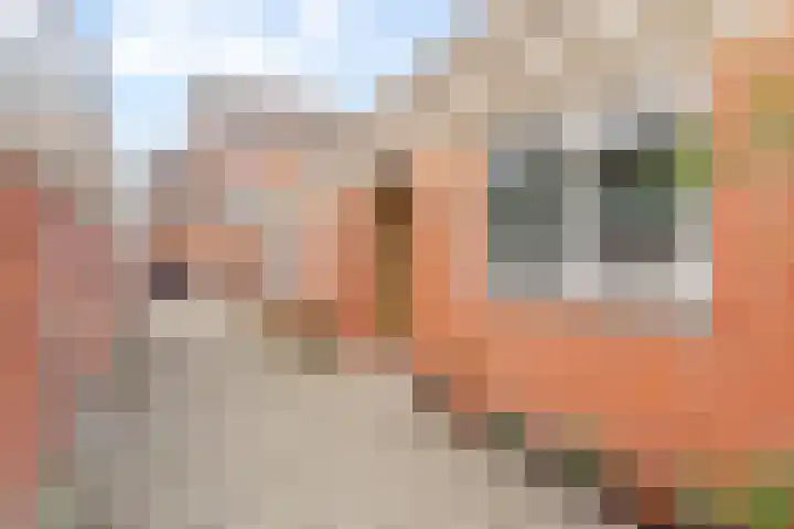 Jachthoorn 81 Capelle aan den IJssel thumbnail 23