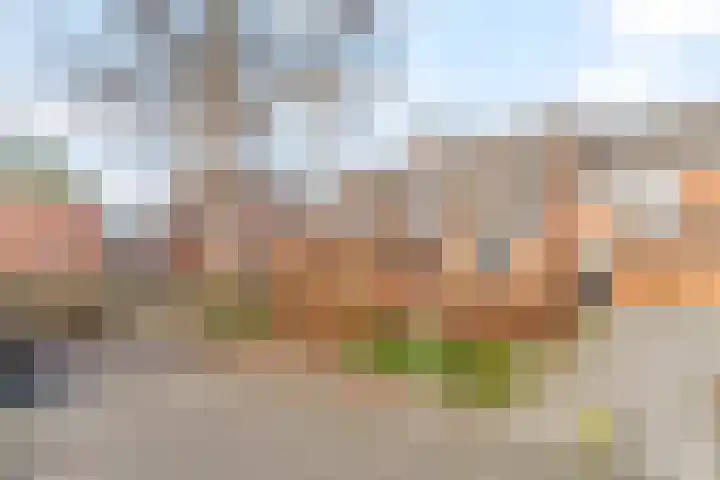 Jachthoorn 81 Capelle aan den IJssel thumbnail 25