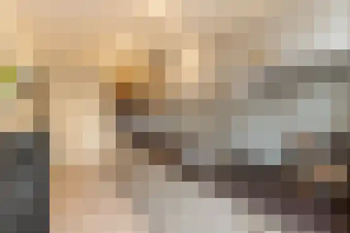 Jachthoorn 81 Capelle aan den IJssel thumbnail 5