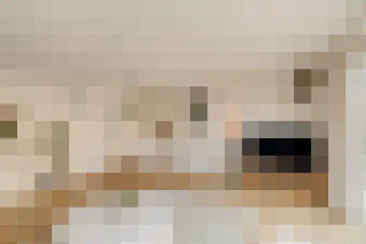 Jachthoorn 81 Capelle aan den IJssel thumbnail 8
