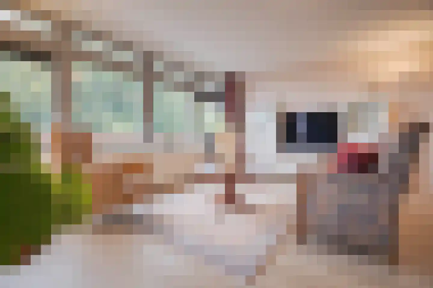 Jachthoornlaan 138 Arnhem thumbnail 10