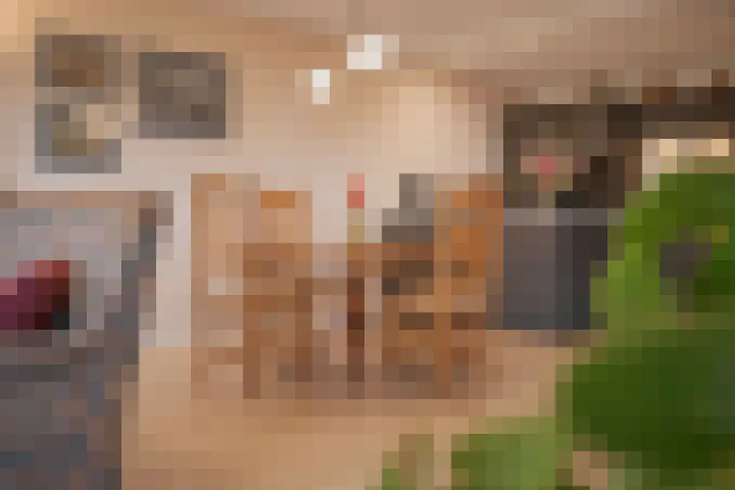 Jachthoornlaan 138 Arnhem thumbnail 14