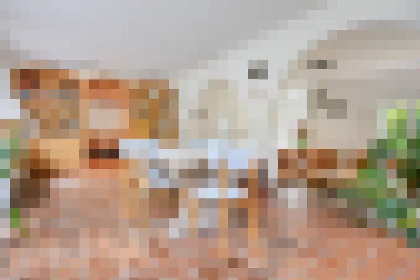 Jachthoornlaan 14 Spijk thumbnail 23