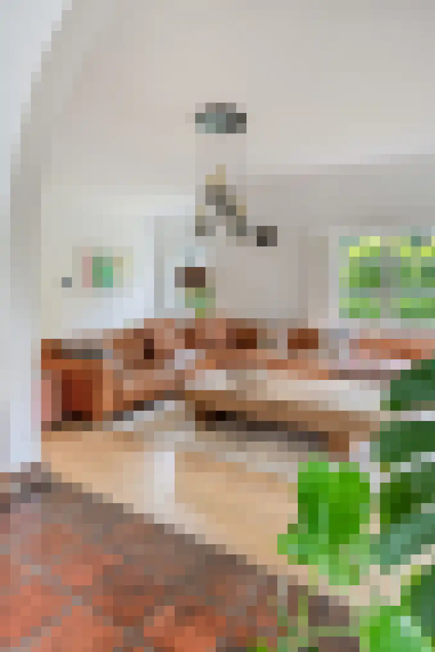 Jachthoornlaan 14 Spijk thumbnail 25