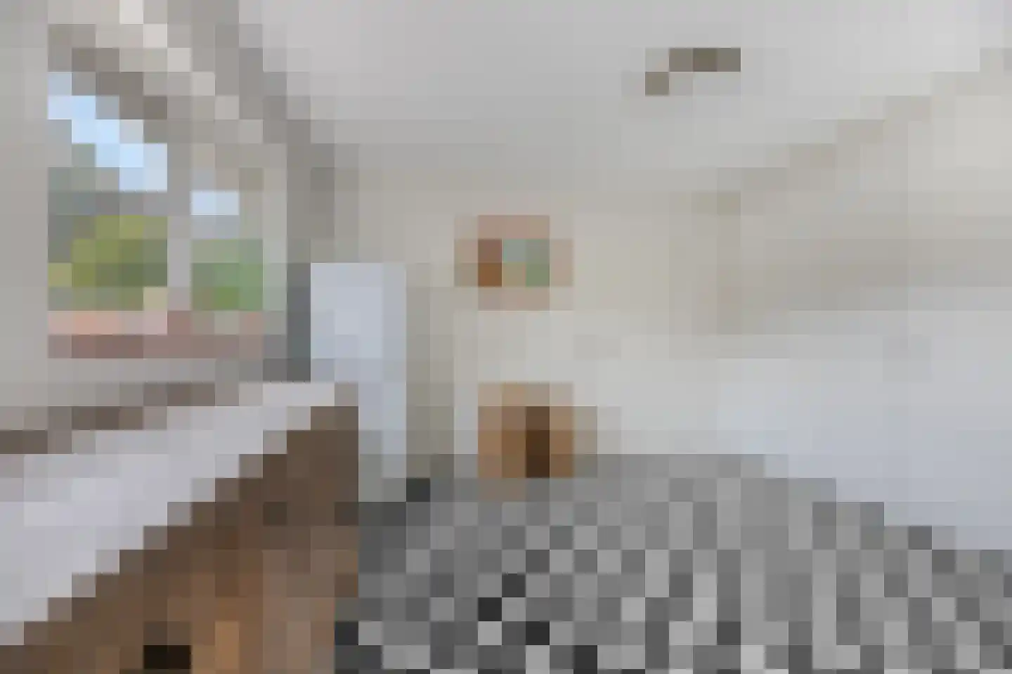 Jachthoornlaan 14 Spijk thumbnail 29