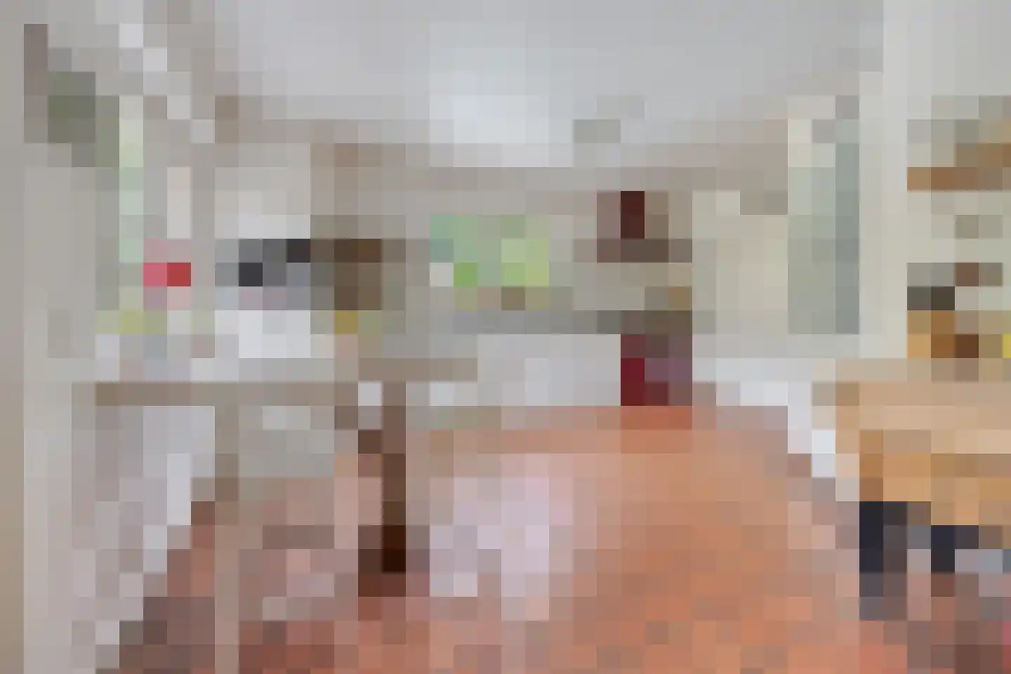 Jachthoornlaan 14 Spijk thumbnail 32
