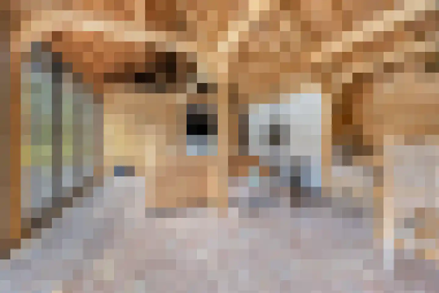 Jachthoornlaan 14 Spijk thumbnail 38