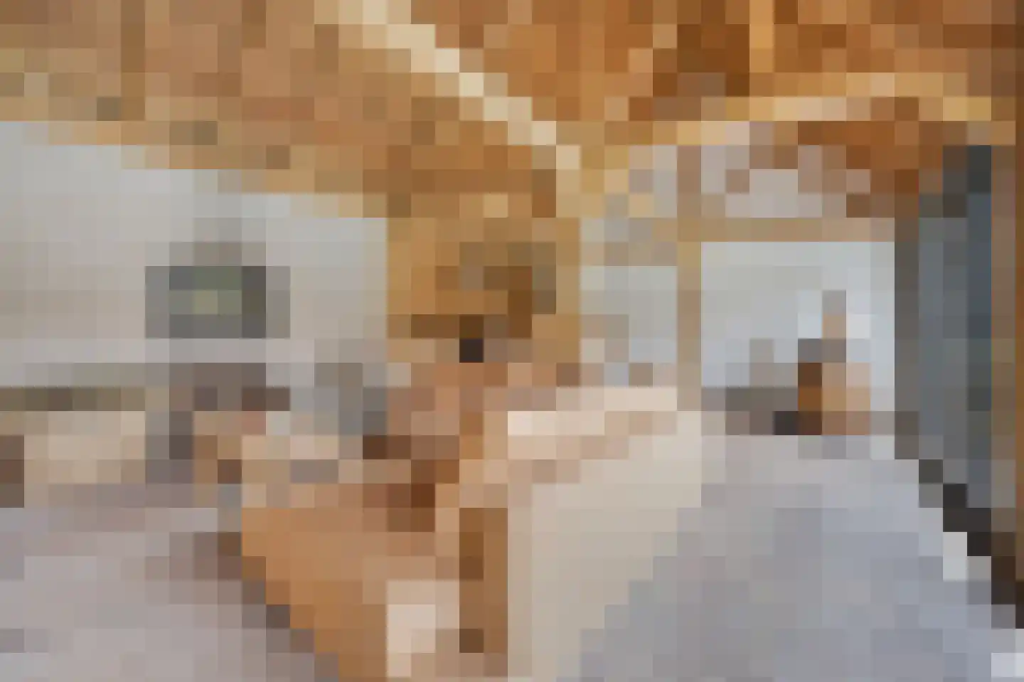 Jachthoornlaan 14 Spijk thumbnail 39