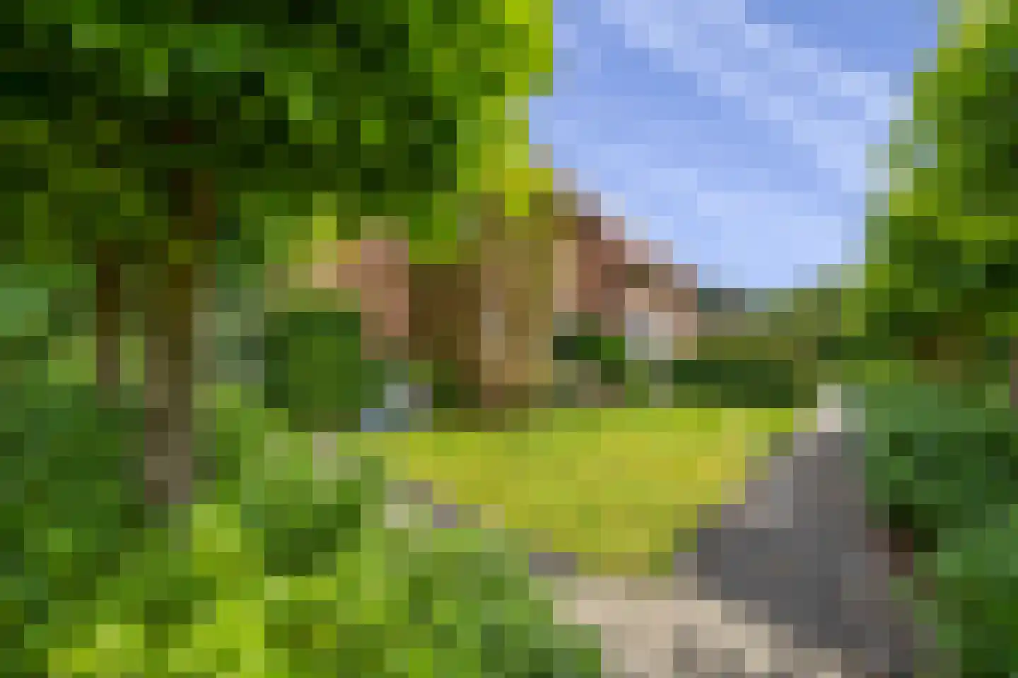 Jachthoornlaan 14 Spijk thumbnail 4