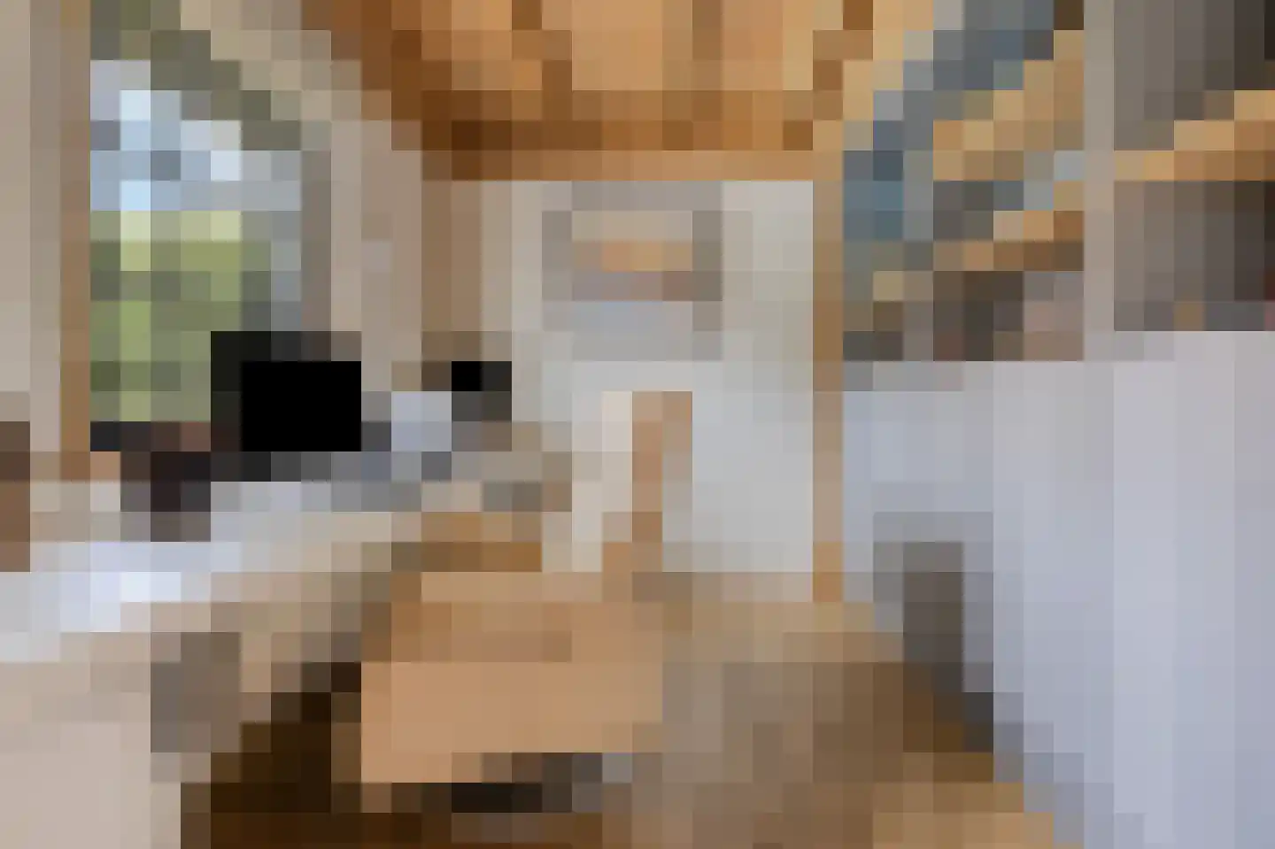 Jachthoornlaan 14 Spijk thumbnail 46