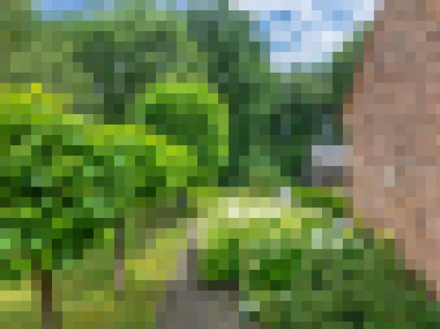 Jachthoornlaan 14 Spijk thumbnail 68