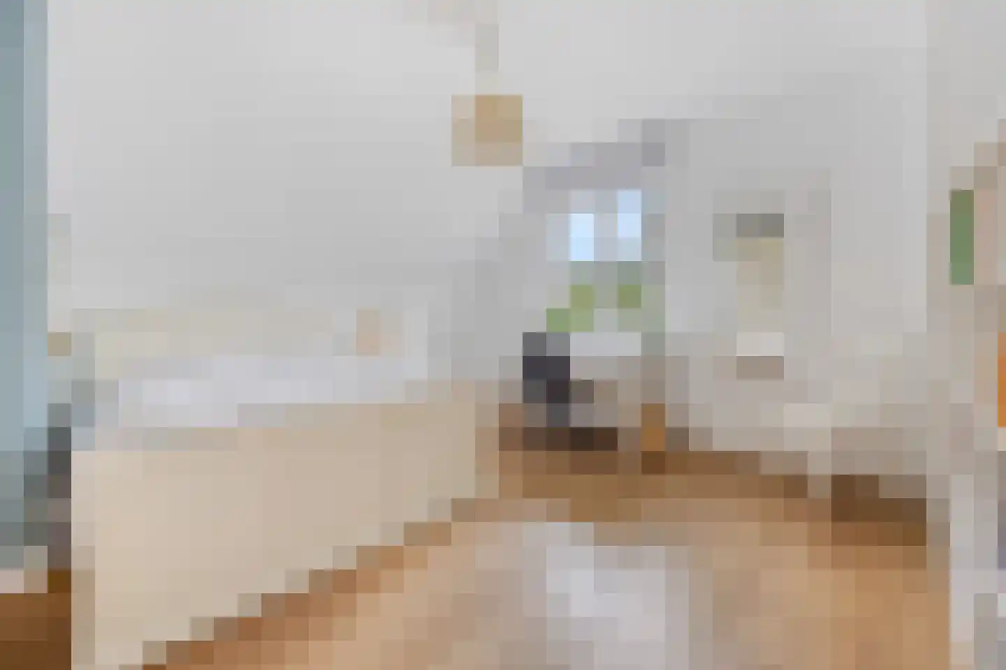 Jachthoornlaan 14 Spijk thumbnail 86