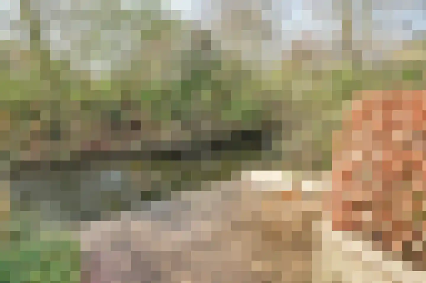 Jachthoornlaan 21 Nieuwegein thumbnail 11