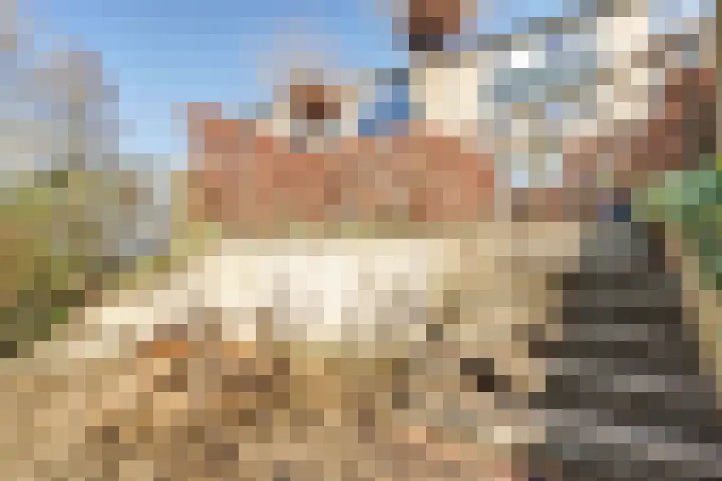 Jachthoornlaan 21 Nieuwegein thumbnail 13