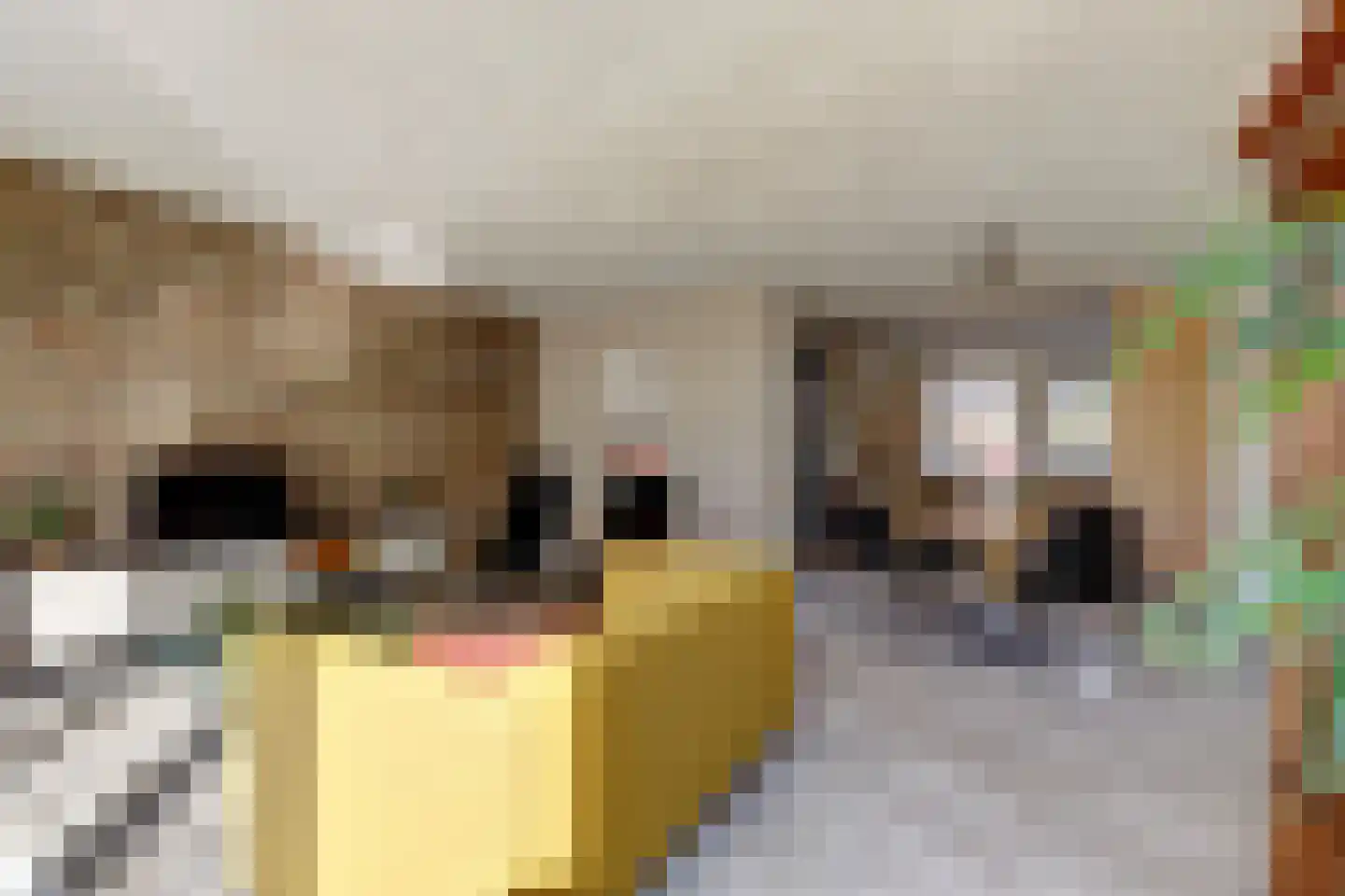 Jachthoornlaan 21 Nieuwegein thumbnail 16