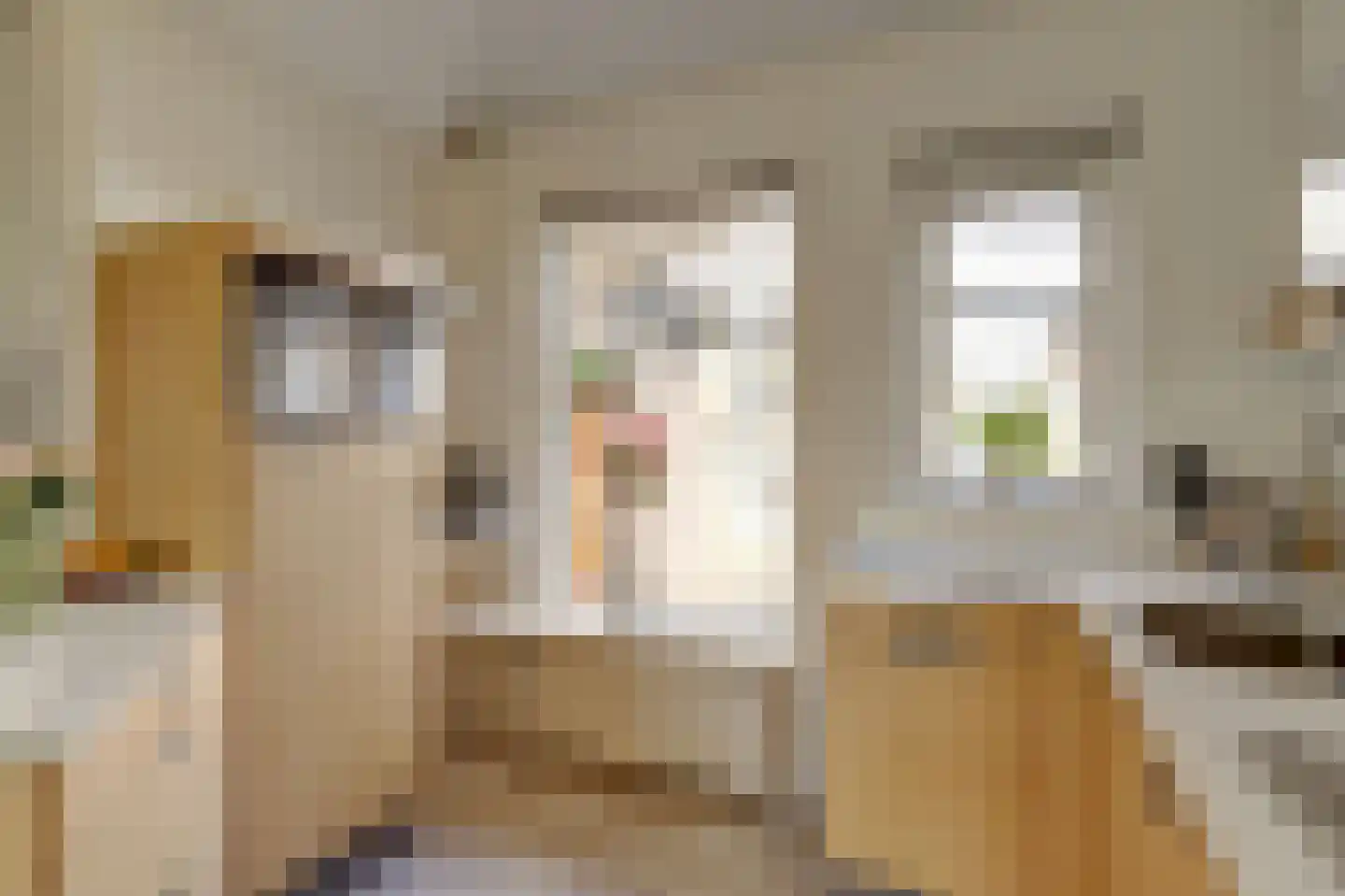 Jachthoornlaan 21 Nieuwegein thumbnail 20