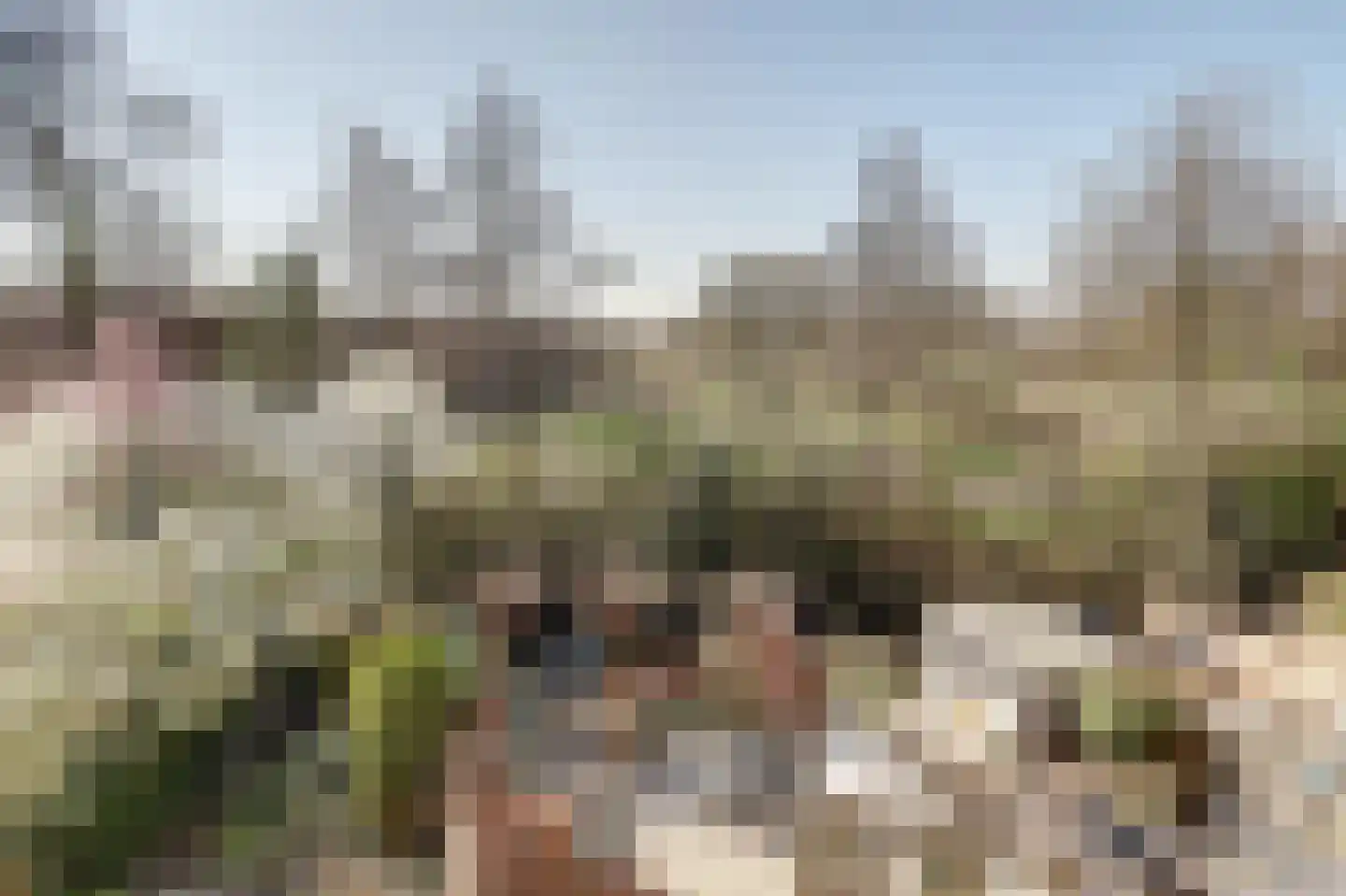 Jachthoornlaan 21 Nieuwegein thumbnail 32