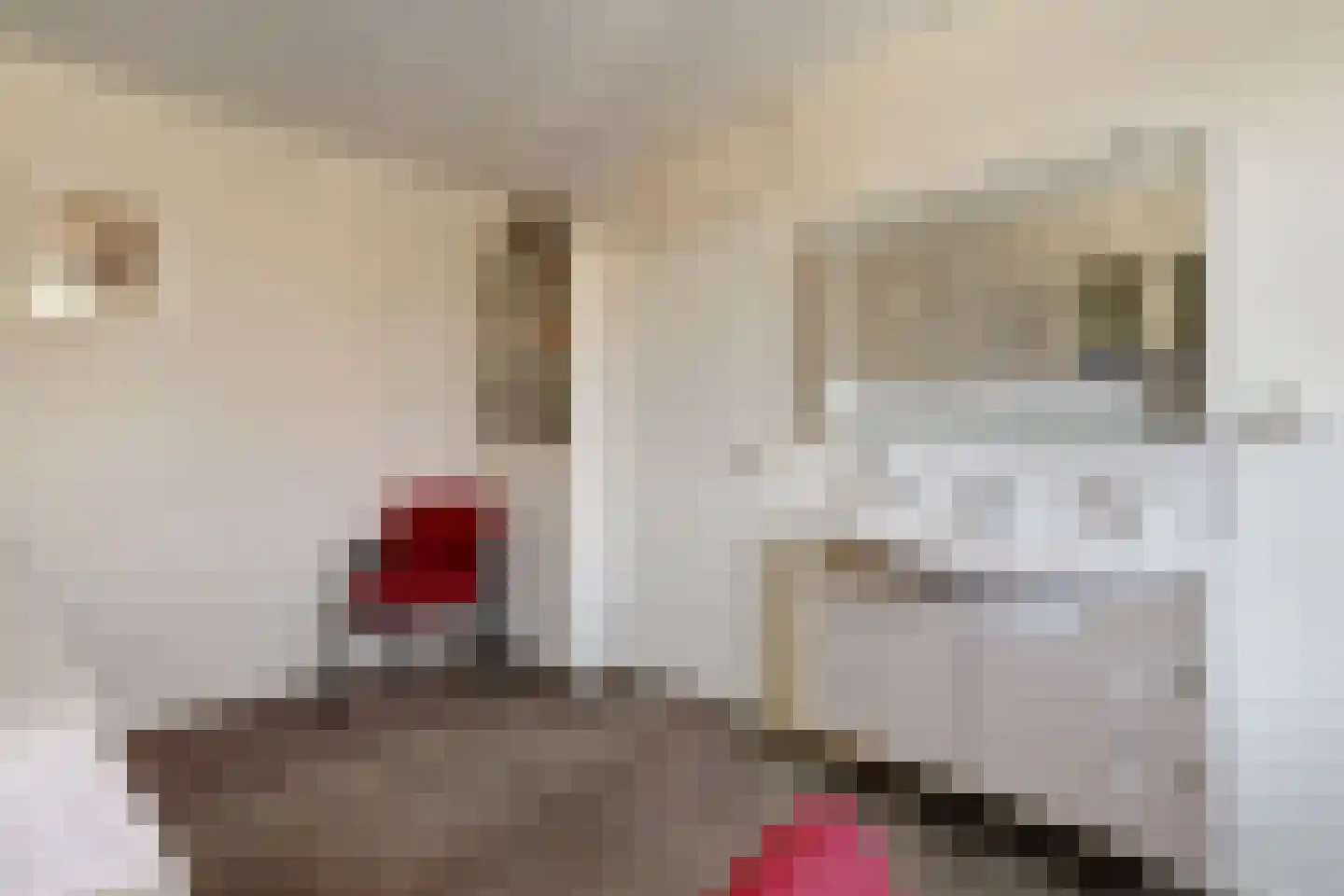 Jachthoornlaan 21 Nieuwegein thumbnail 34